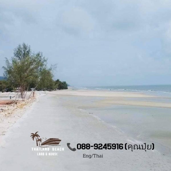 T้he Hi Ocean Phase 2
