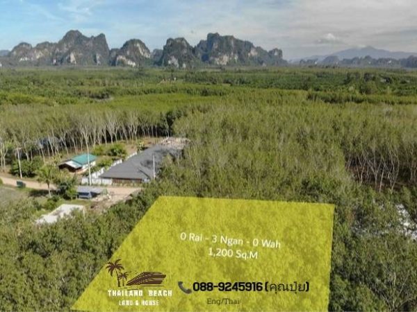 Thailand Beach Land & House