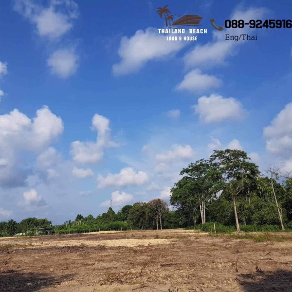 Land for sale near the sea. near bypass road Khok Kloi - Phuket,