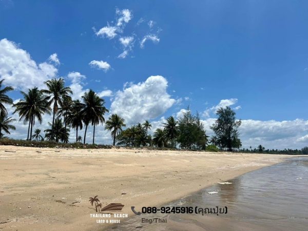 Thailand Beach Land & House