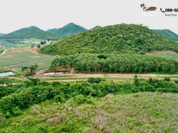 Thailand Beach Land & House